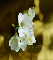 南昌十二生肖看看你的幸运数字是什么吧！