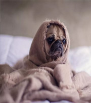 南昌有这样的手机号码，留不住钱，你中枪了吗？