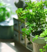 南昌专属于你的开运指南，助你鸿运当头福满身！